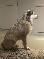 /album/198/whatsapp-image-2025-12-13-at-17-56-37-jpeg/